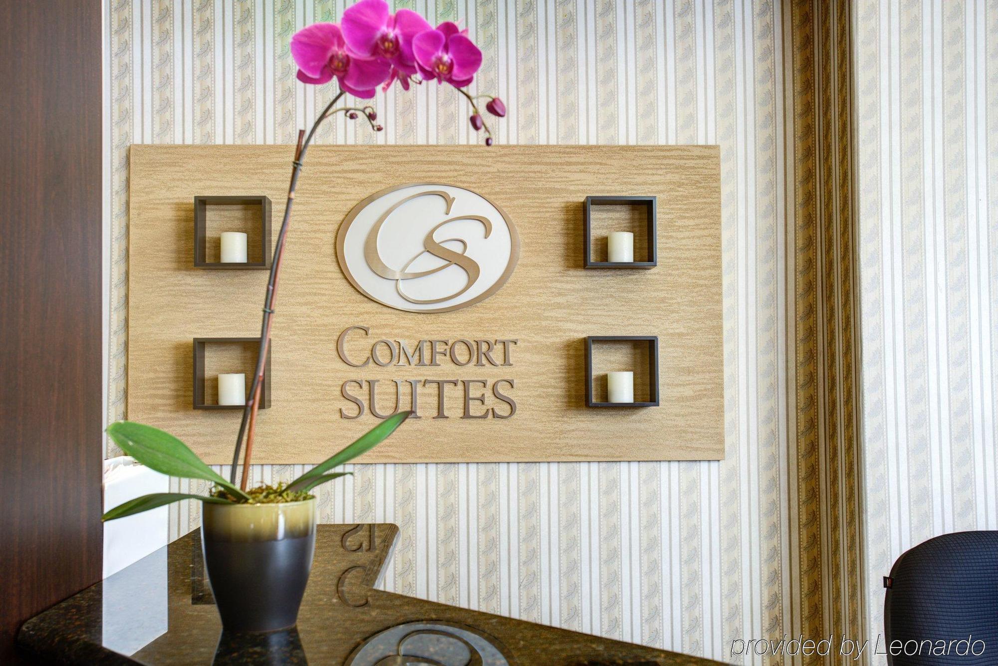 Comfort Suites San Jose Airport Kültér fotó